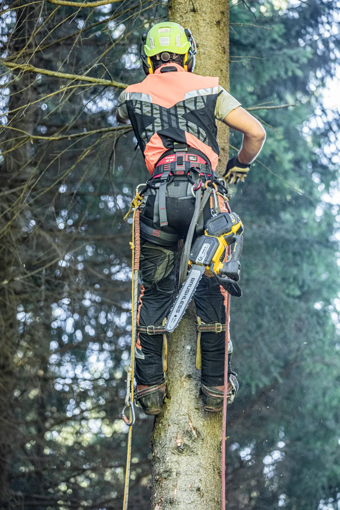 Motoferăstrău de 54 V XR Flexvolt, cu mâner în partea superioară - numai scula