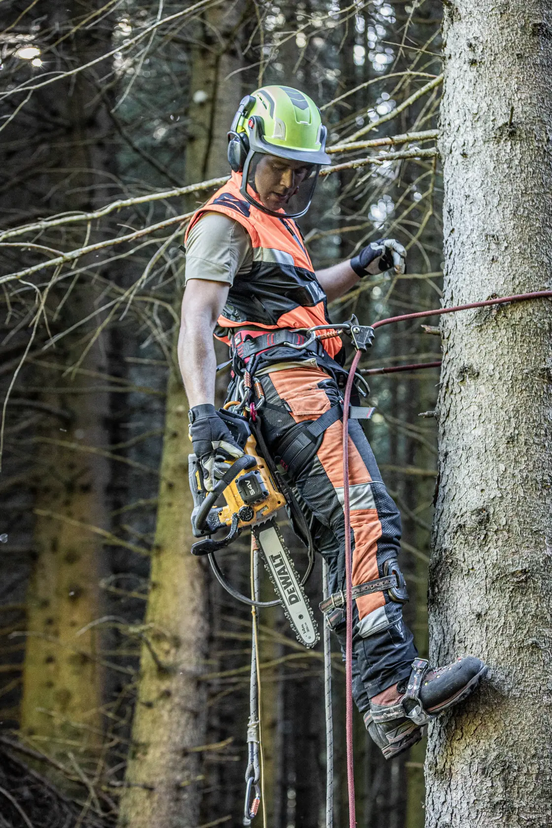 Motoferăstrău cu mâner superior XR Flexvolt de 54 V - 1 x 9 Ah