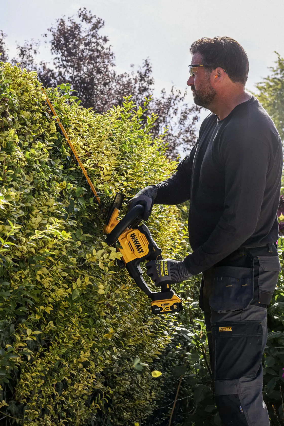 DEWALT 18V XR hedge trimmer with ergonomic handle, 60cm laser blades, tip guard, wall mount, sweeper.