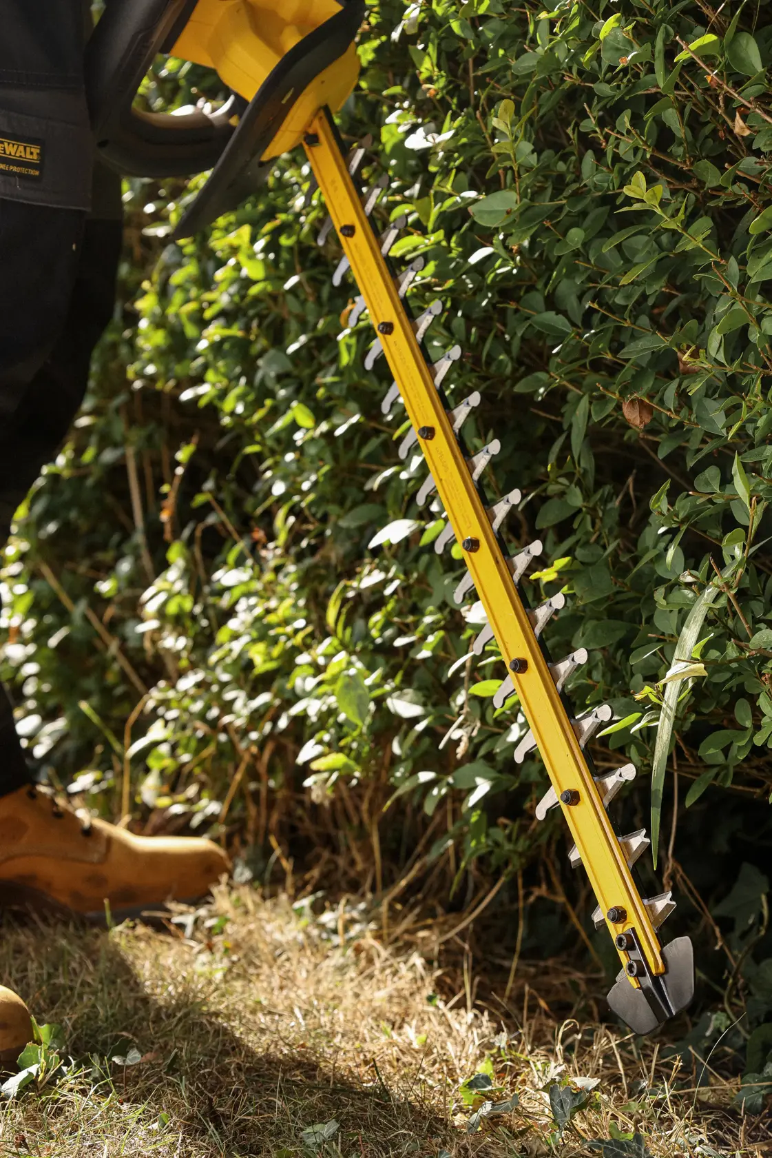 Person trimming hedge with DEWALT cordless hedge trimmer featuring ergonomic D-Handle for comfort and control.