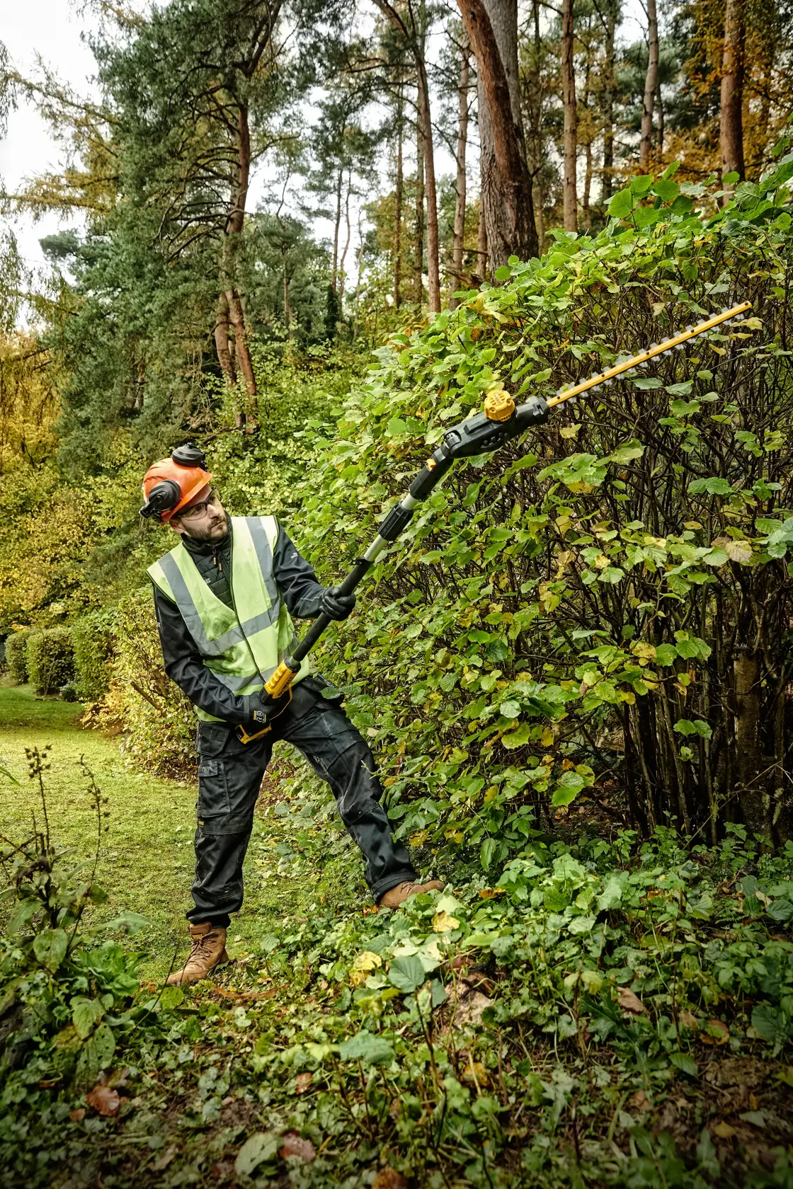 Tijă pentru foarfecă pentru gard viu 18V XR - 1x 5.0Ah